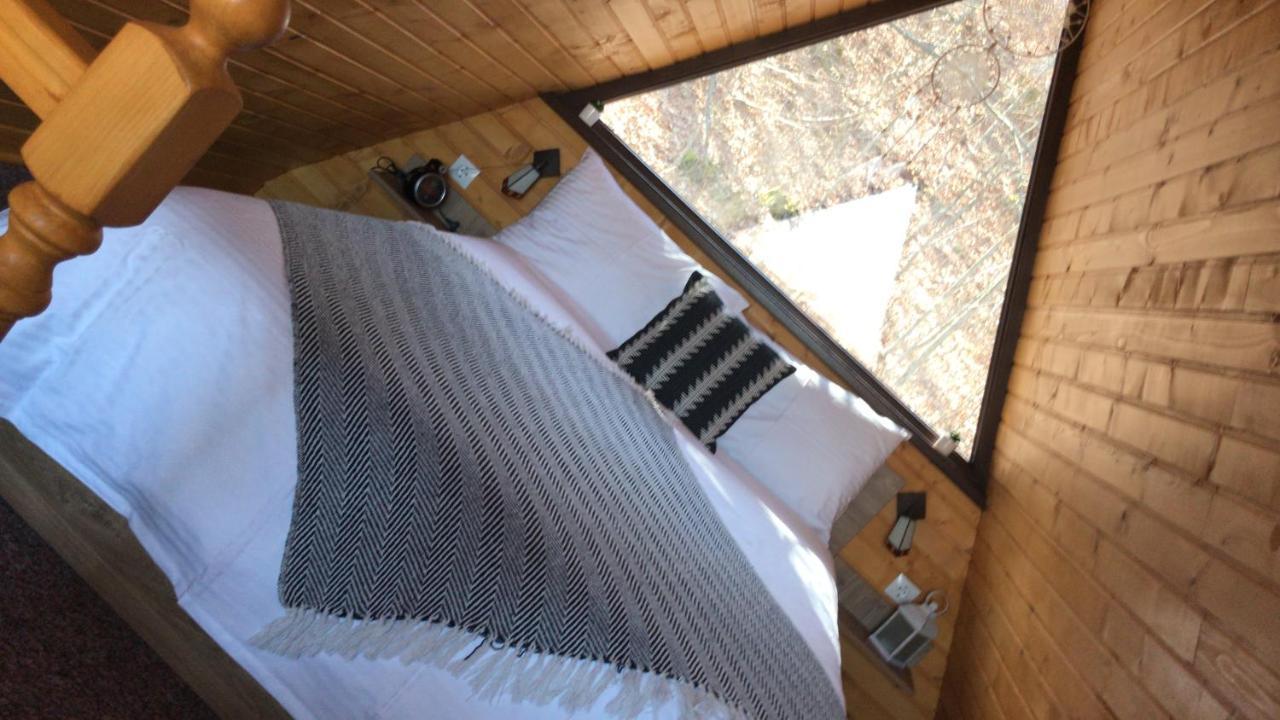 Hotel Casutele De Sub Padure Avrig Zewnętrze zdjęcie