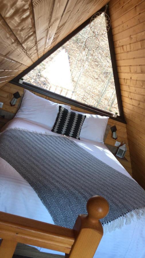 Hotel Casutele De Sub Padure Avrig Zewnętrze zdjęcie