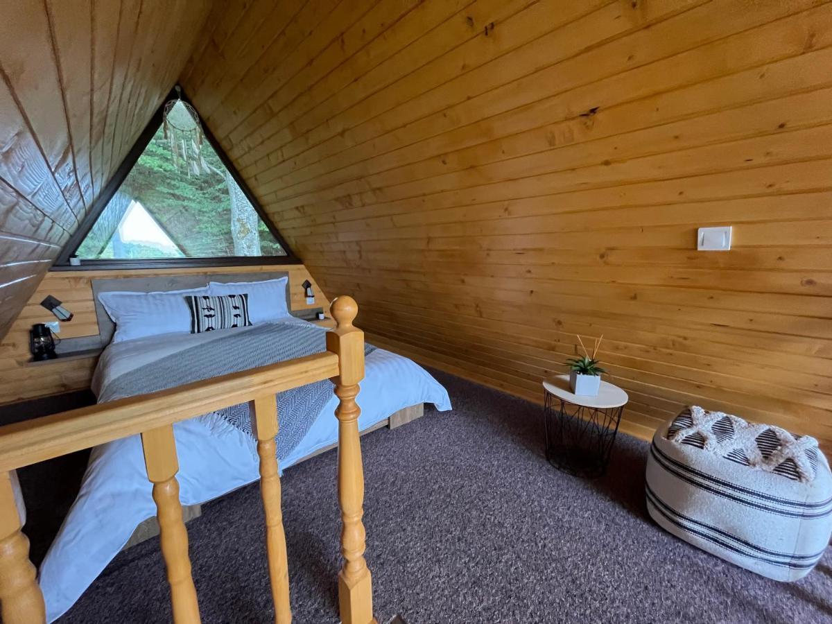 Hotel Casutele De Sub Padure Avrig Zewnętrze zdjęcie